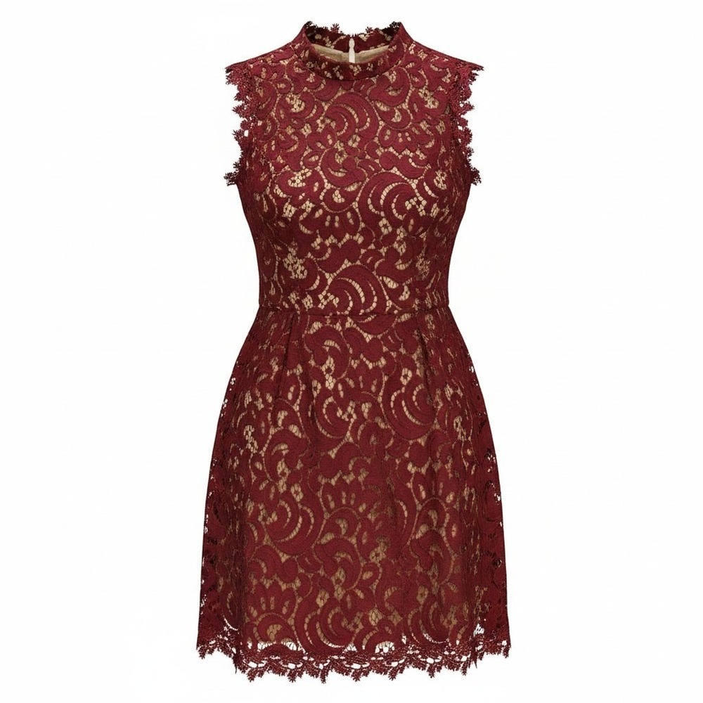 Alya Burgundy Floral Lace Mock Neck Open Back Fit & Flare Mini Dress Medium